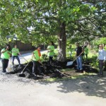 Volunteers sheet mulching a Magnolia