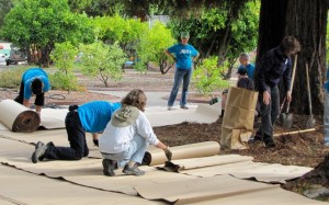 Putting down cardboard