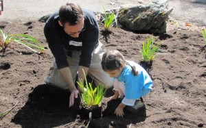 The youngest volunteer planting